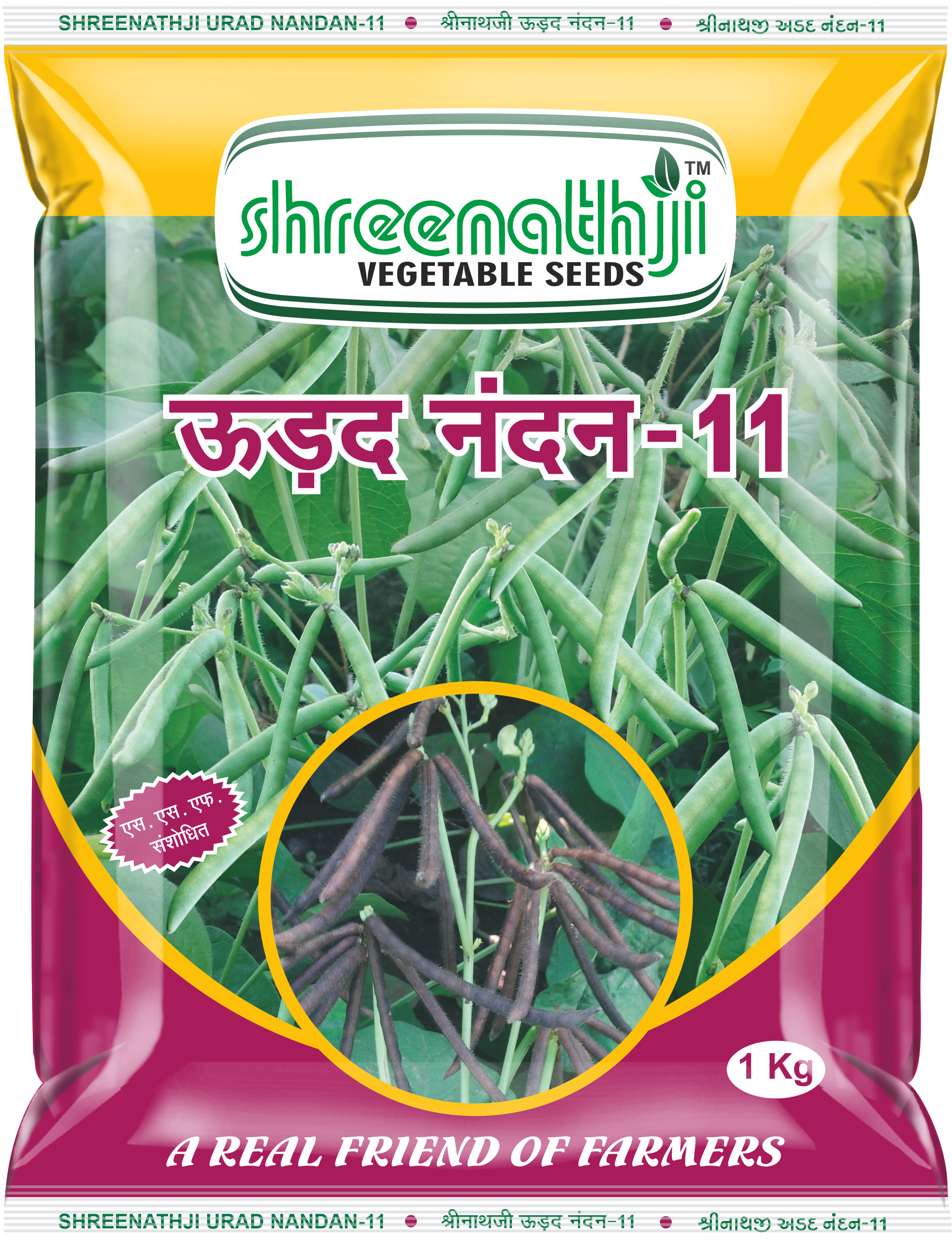 અડદ નંદન-11